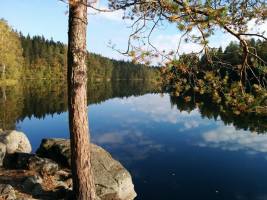 10645286_699488126809397_2202853060495416704_n